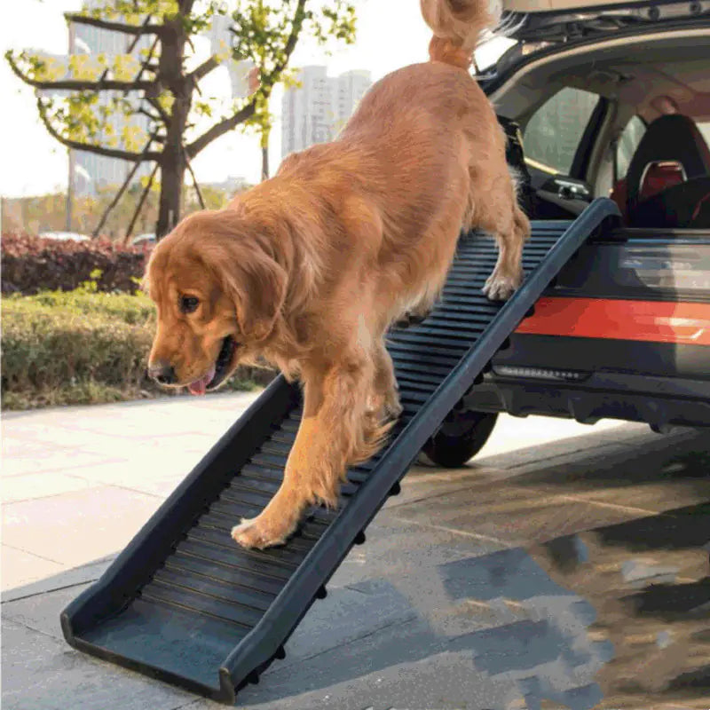 Pet Folding Step Ladder