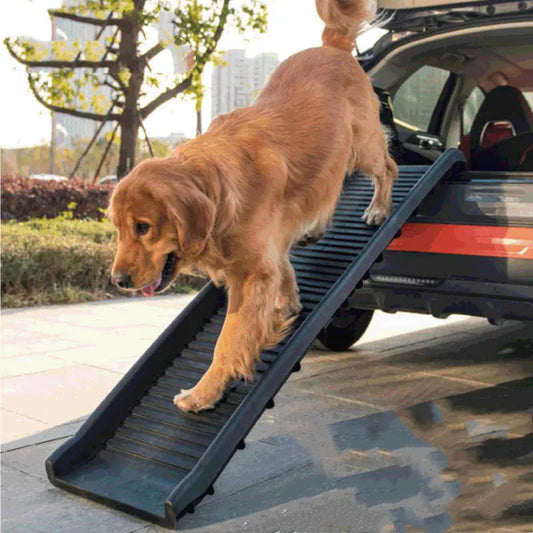 Pet Folding Step Ladder