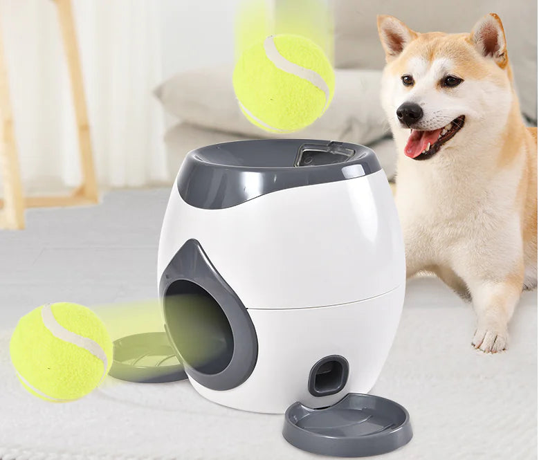 Pet Play & Feed Launcher