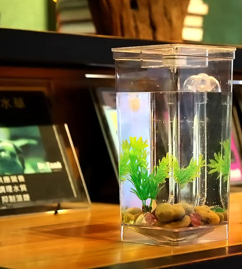 Self-Cleaning Fish Tank, No Water Change Needed