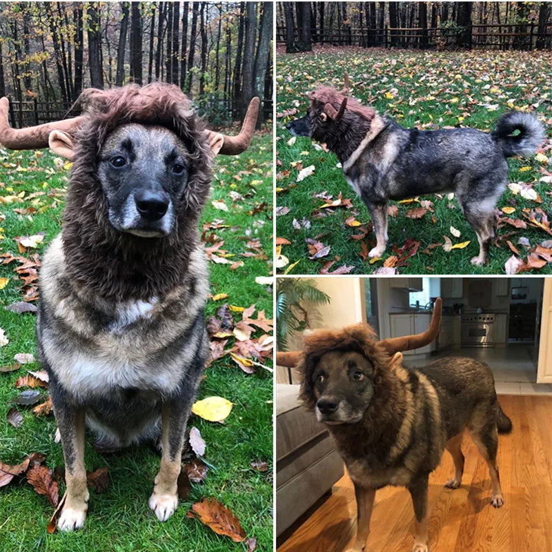 Dog Lion Mane Wig (with Horns)