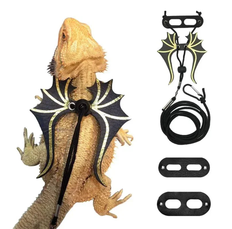 Dinosaur Wing Reptile Harness & Leash Kit