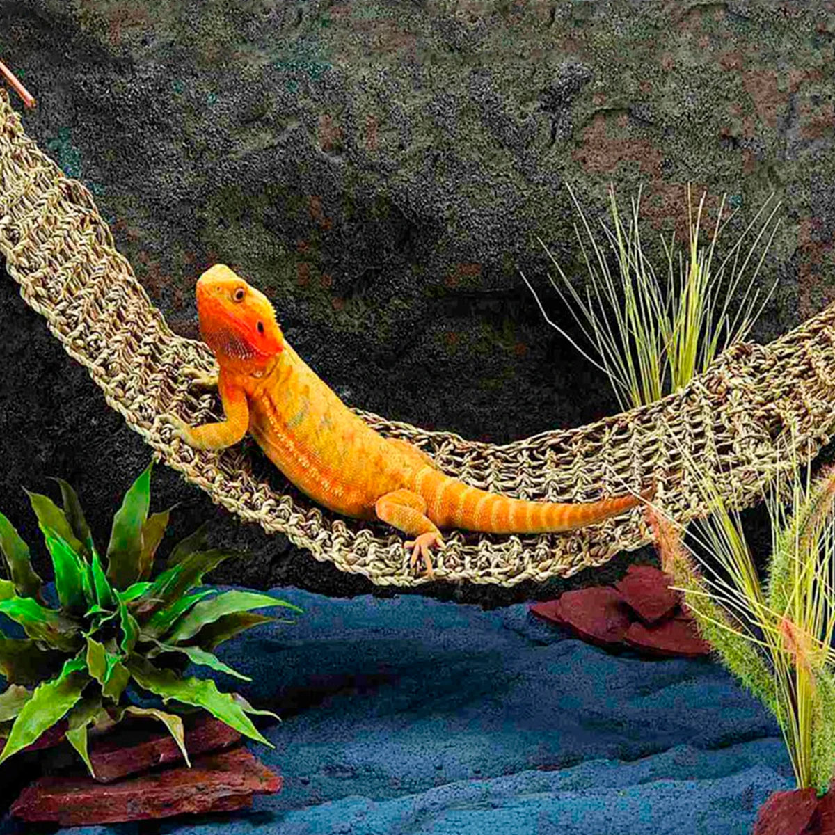 Natural Seagrass Reptile Hammock
