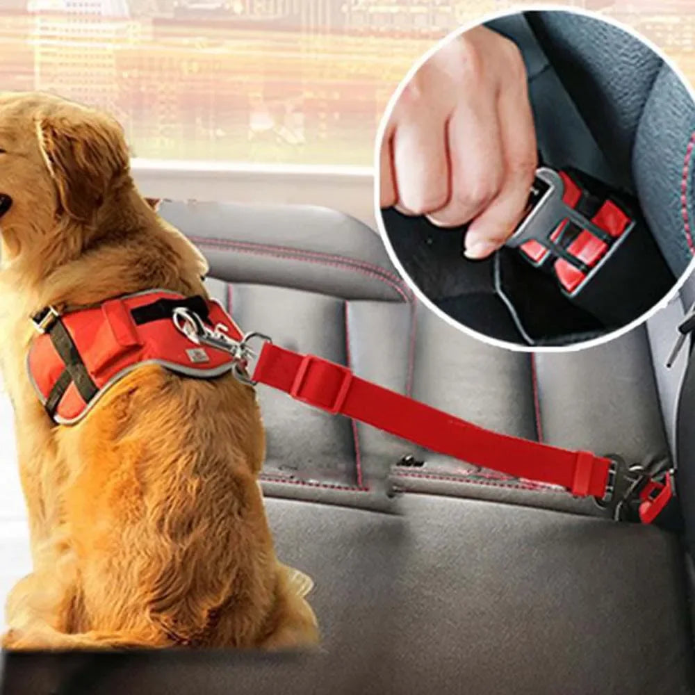 2-in-1 Pet Car Safety Leash