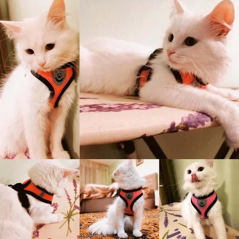 Reflective Pet Harness & Leash