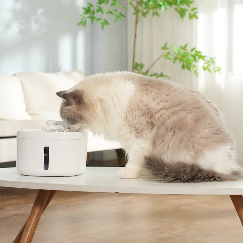 Wireless Pet Water Dispenser