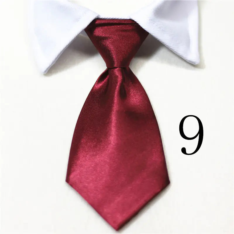 Chic Pet Collar & Tie Collection