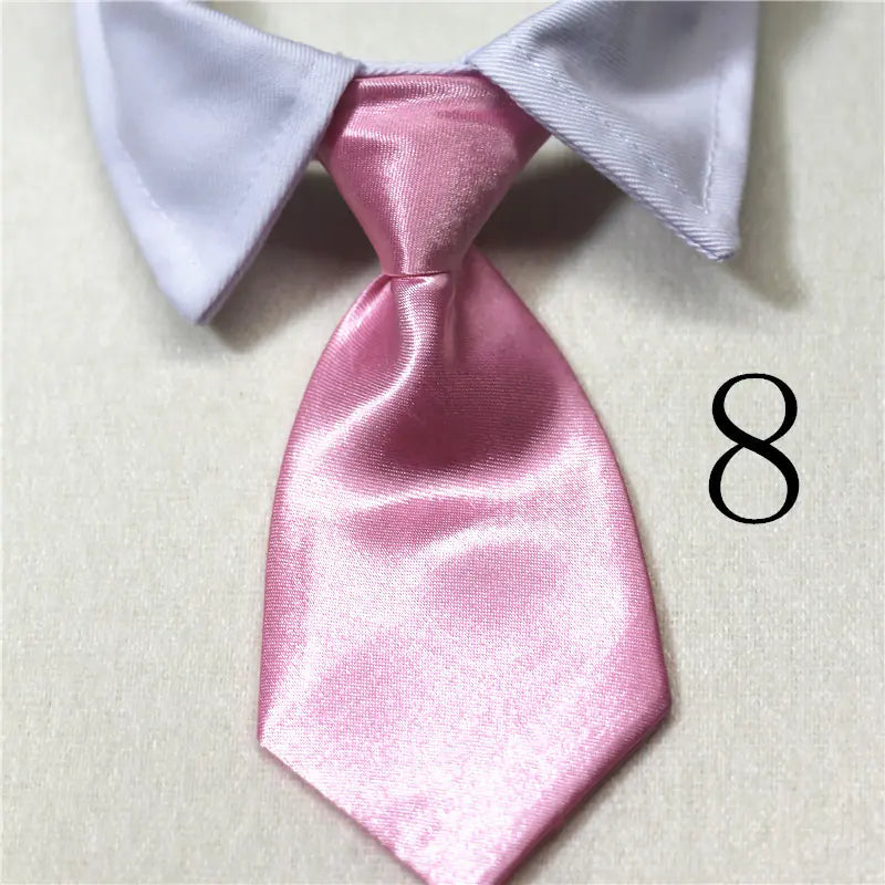 Chic Pet Collar & Tie Collection