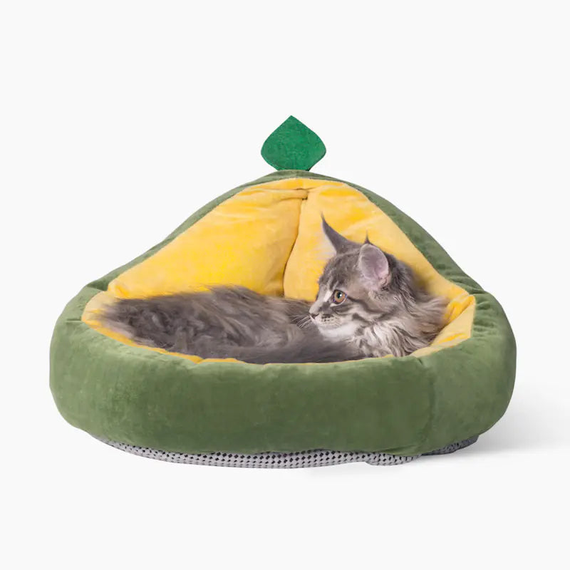 Removable Cushion Pet Bed