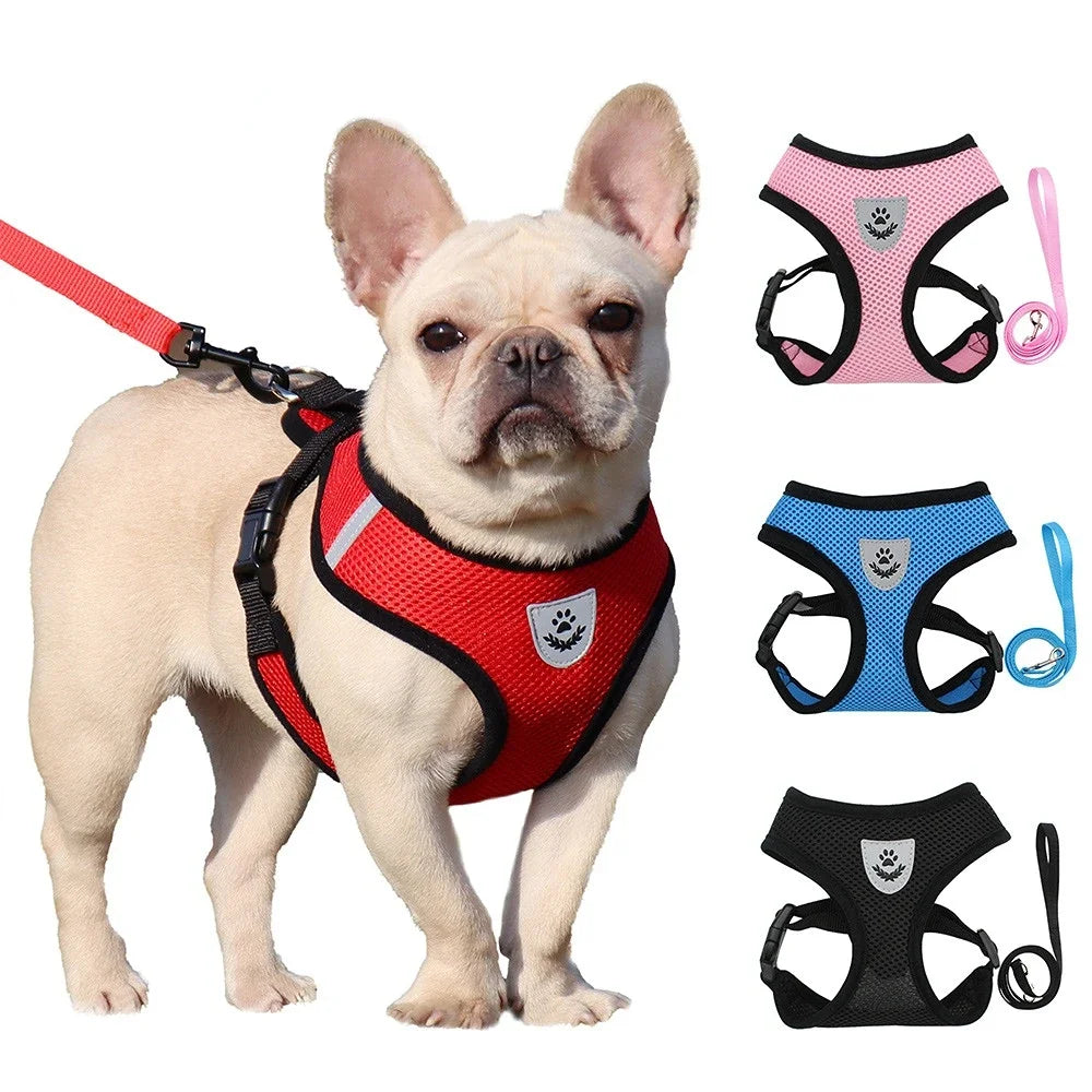 Reflective Pet Harness & Leash