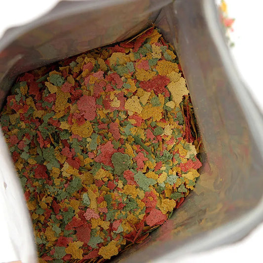 Immune-Boosting Tropical Fish Food
