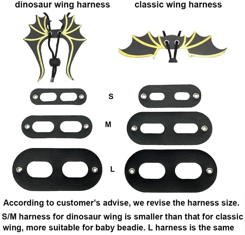 Dinosaur Wing Reptile Harness & Leash Kit