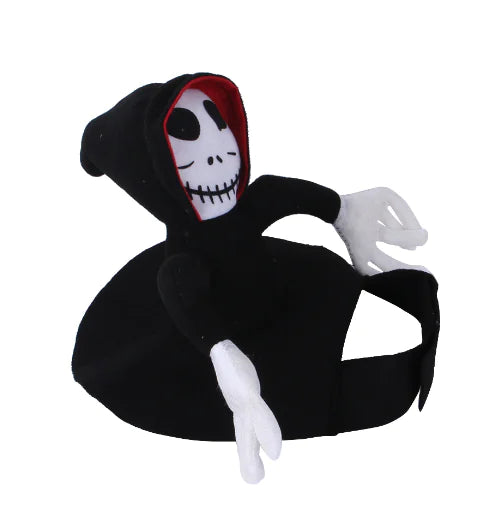 Pet Spider Pumpkin Costume