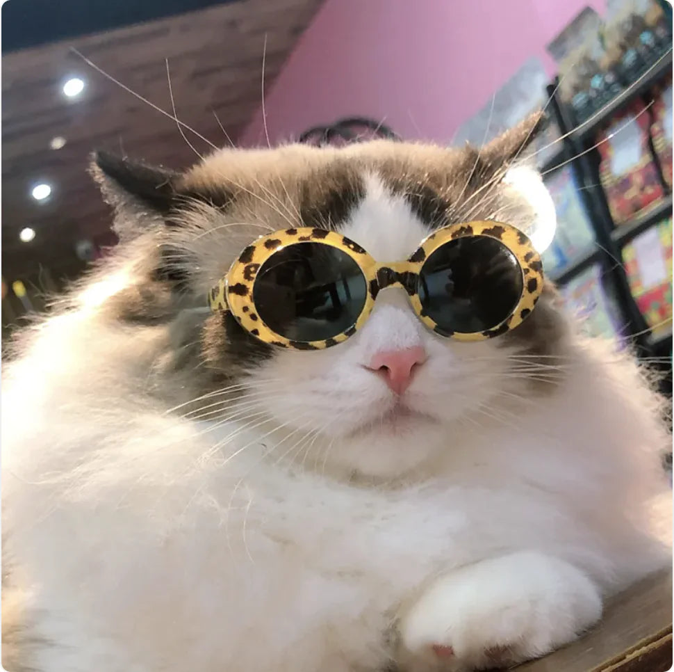Pet Fashion Sunglasses