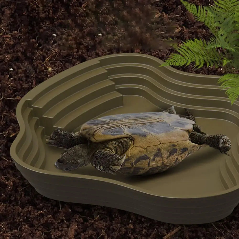Compact Turtle Bathing Tub