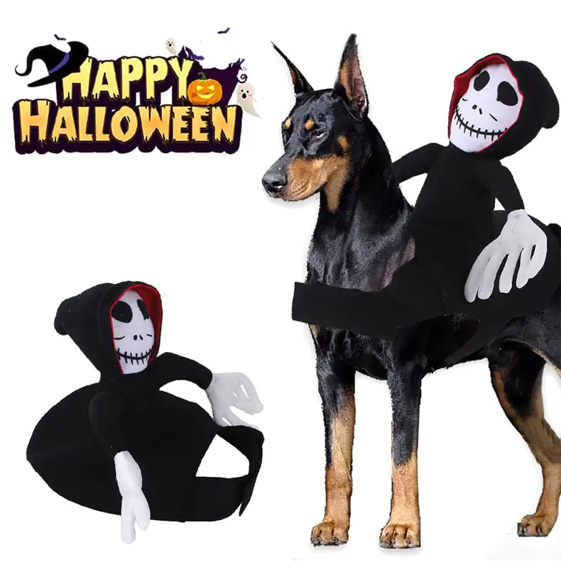 Pet Spider Pumpkin Costume