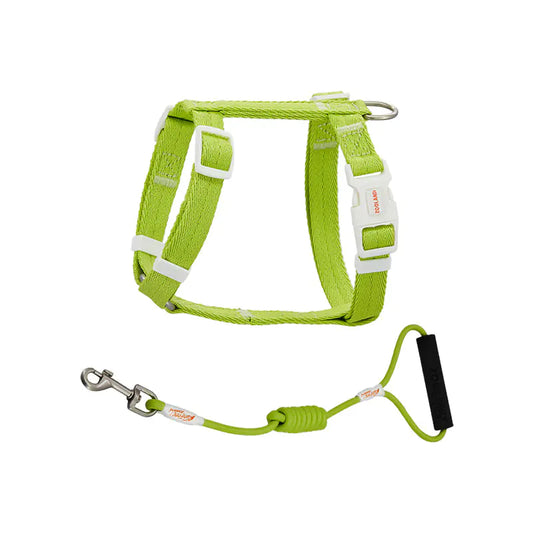 Anti-Breakaway Pet Harness & Leash Set