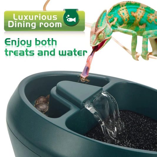 2-in-1 Reptile Fountain Feeder