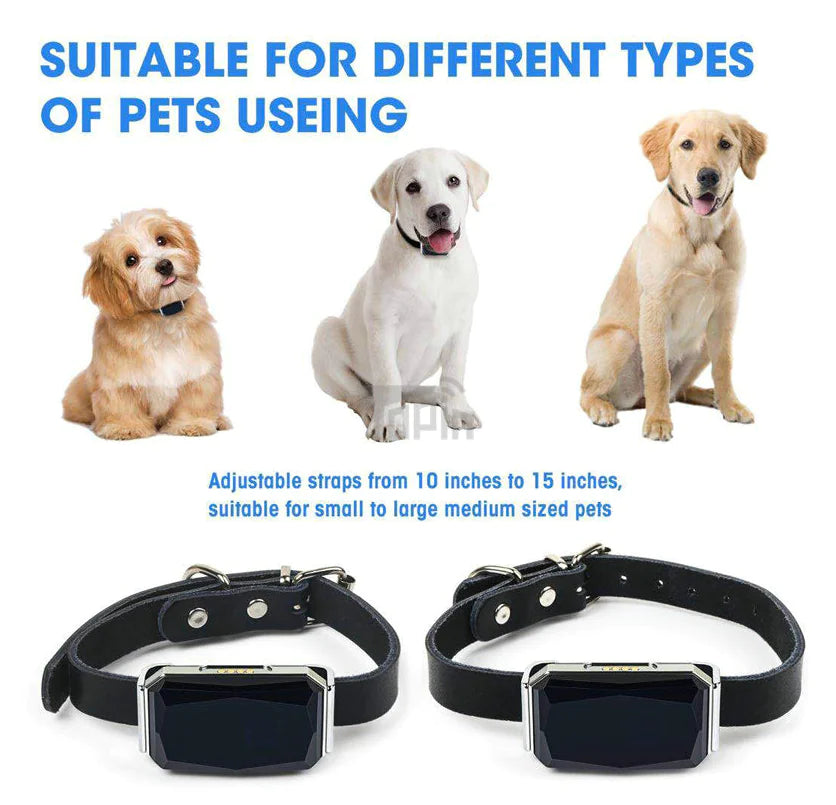 Pet Location Tracker