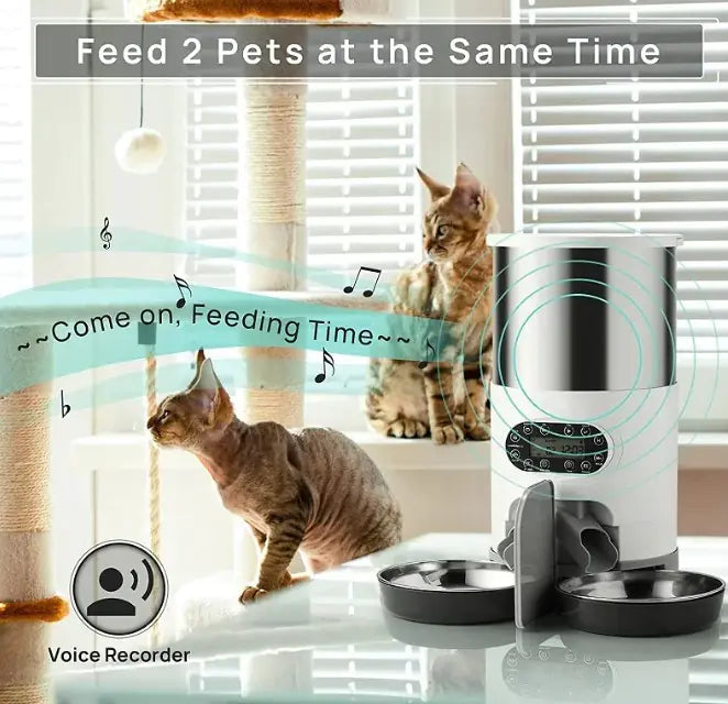 Chique Programmable Pet Feeder