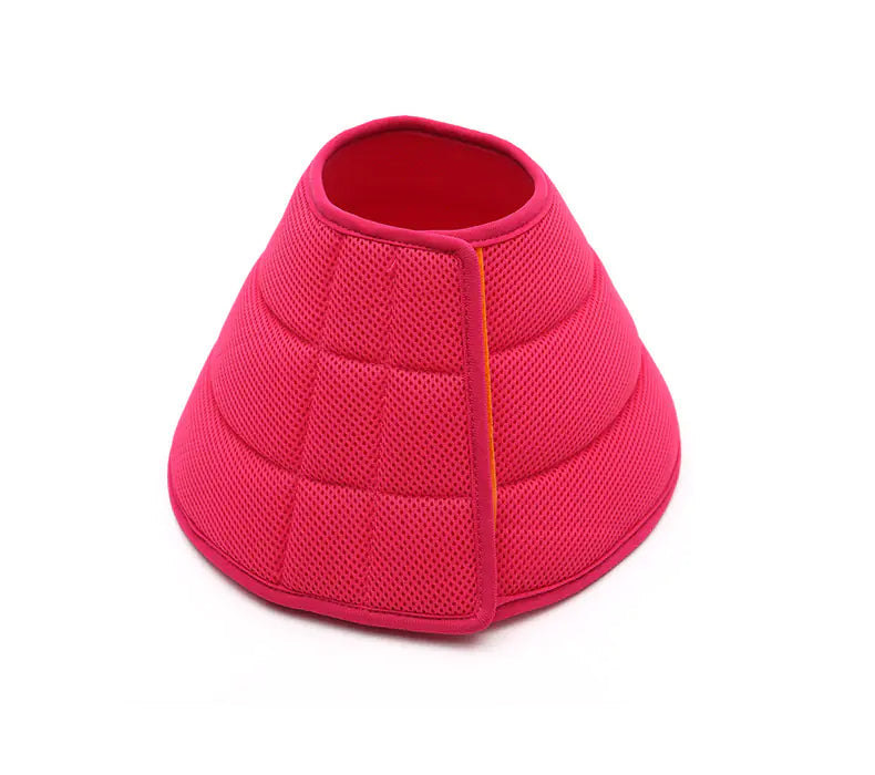 Pet E-Collar (Transparent)