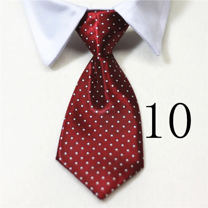 Chic Pet Collar & Tie Collection