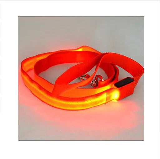LED Safety Dog Walking Leash