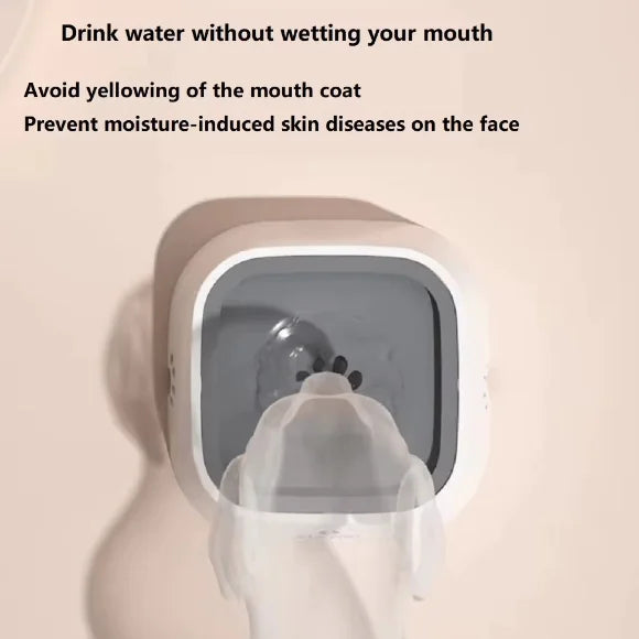 Floating Pet Water Dispenser