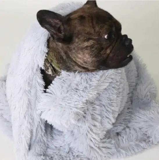 Plush Pet Throw Blanket