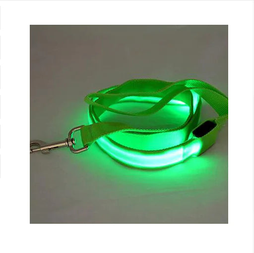 LED Safety Dog Walking Leash