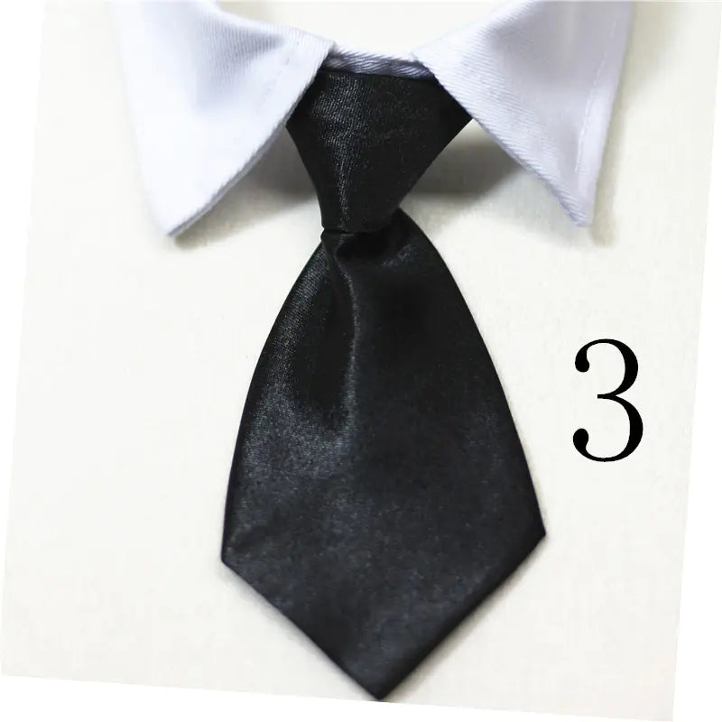 Chic Pet Collar & Tie Collection