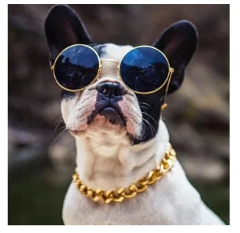 Luxe Pet Dog Chain Necklace