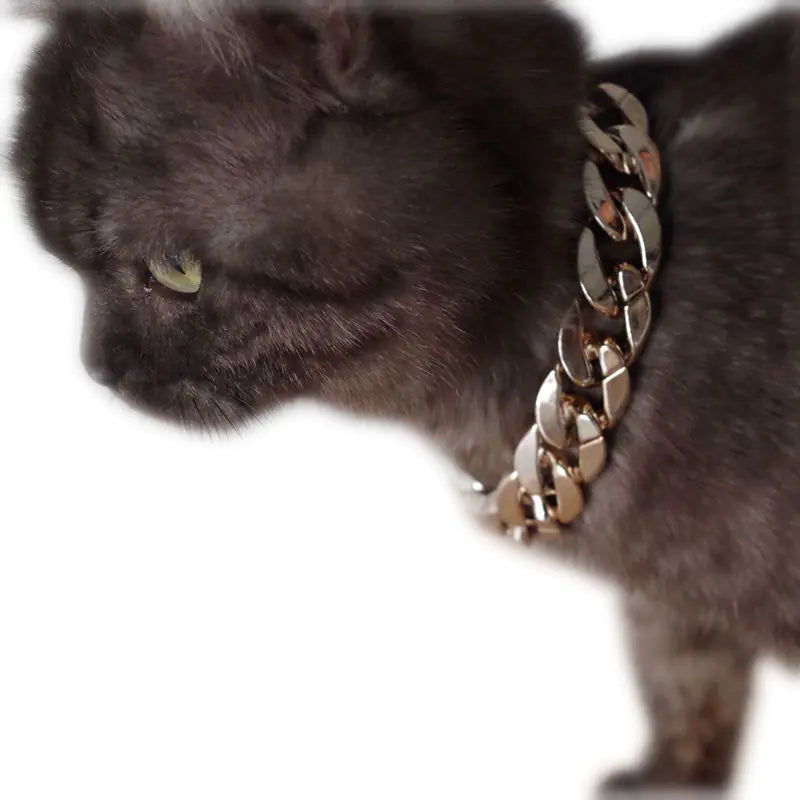 Luxe Pet Dog Chain Necklace
