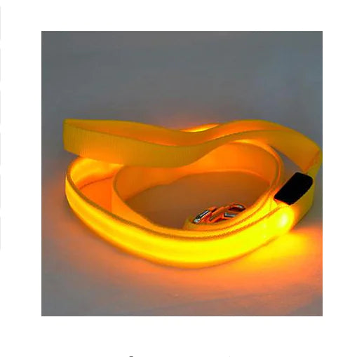 LED Safety Dog Walking Leash
