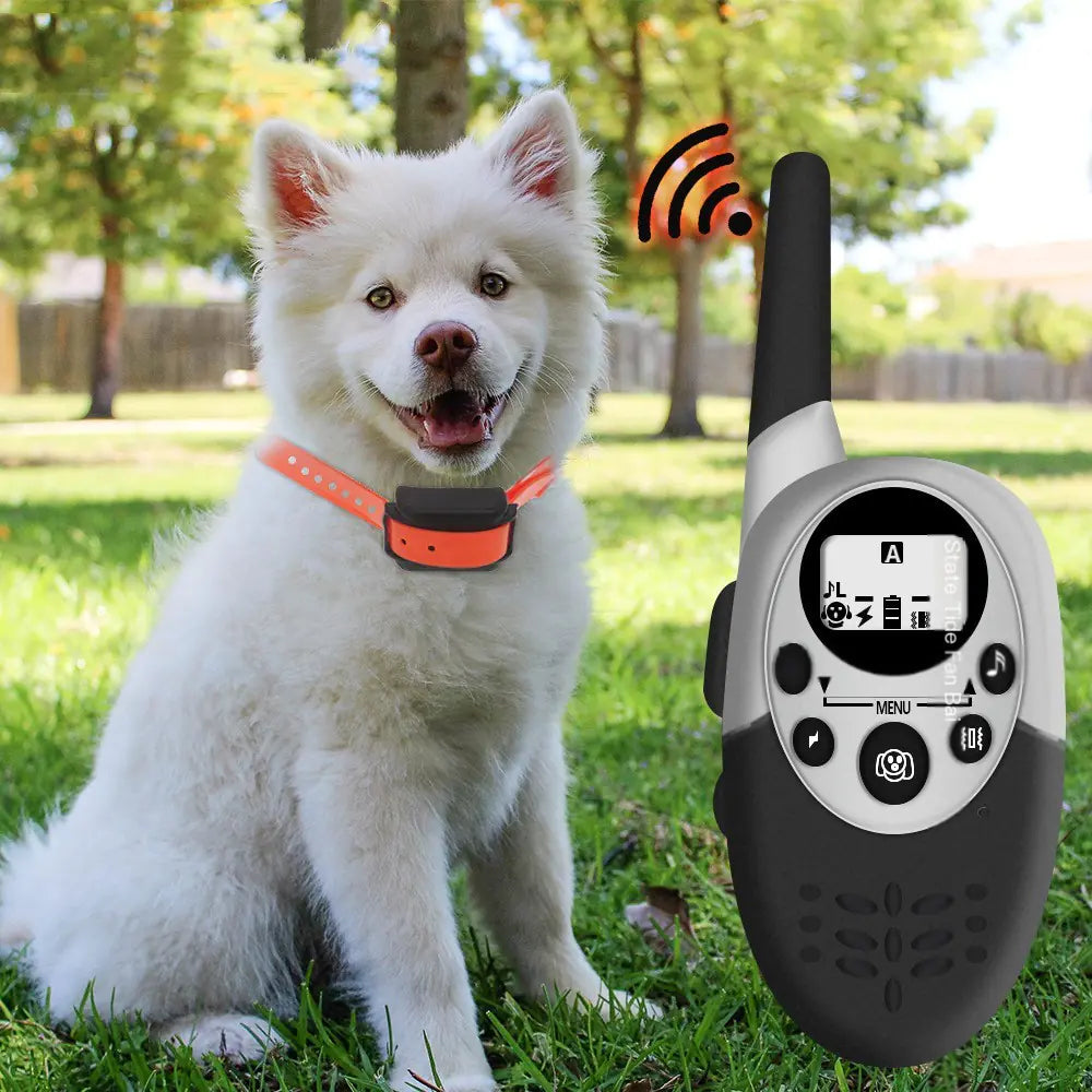 Dog Bark Control Receiver Collar