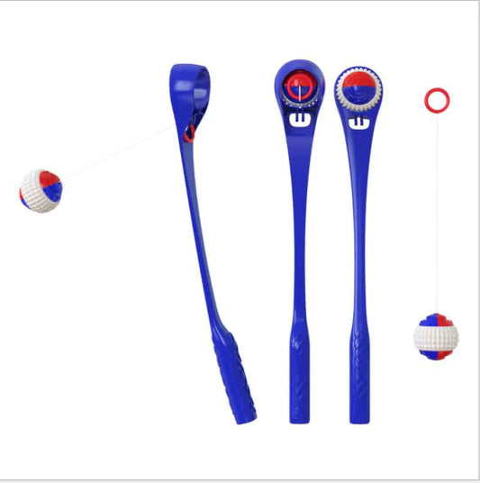 Plastic Sport Ball Dog Toy