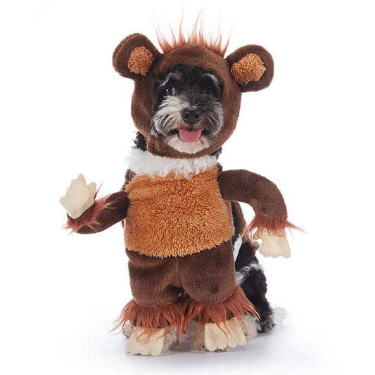 Halloween Dog Outfits