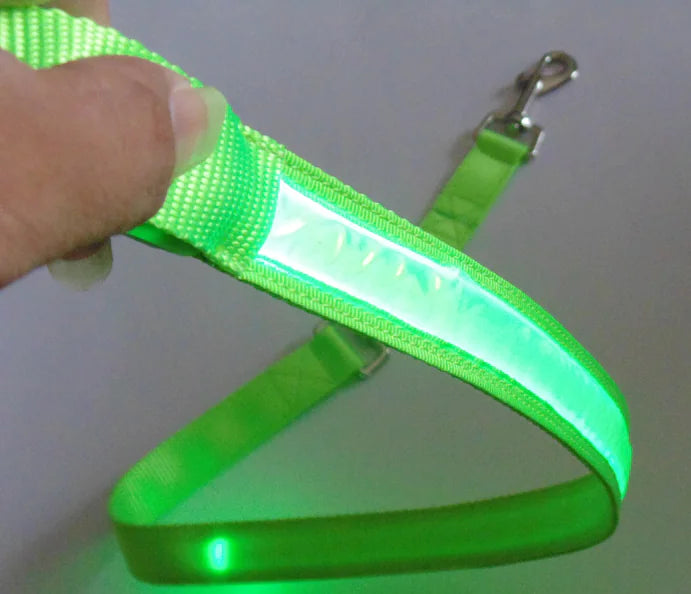 Reflective Dog Harness & Lead