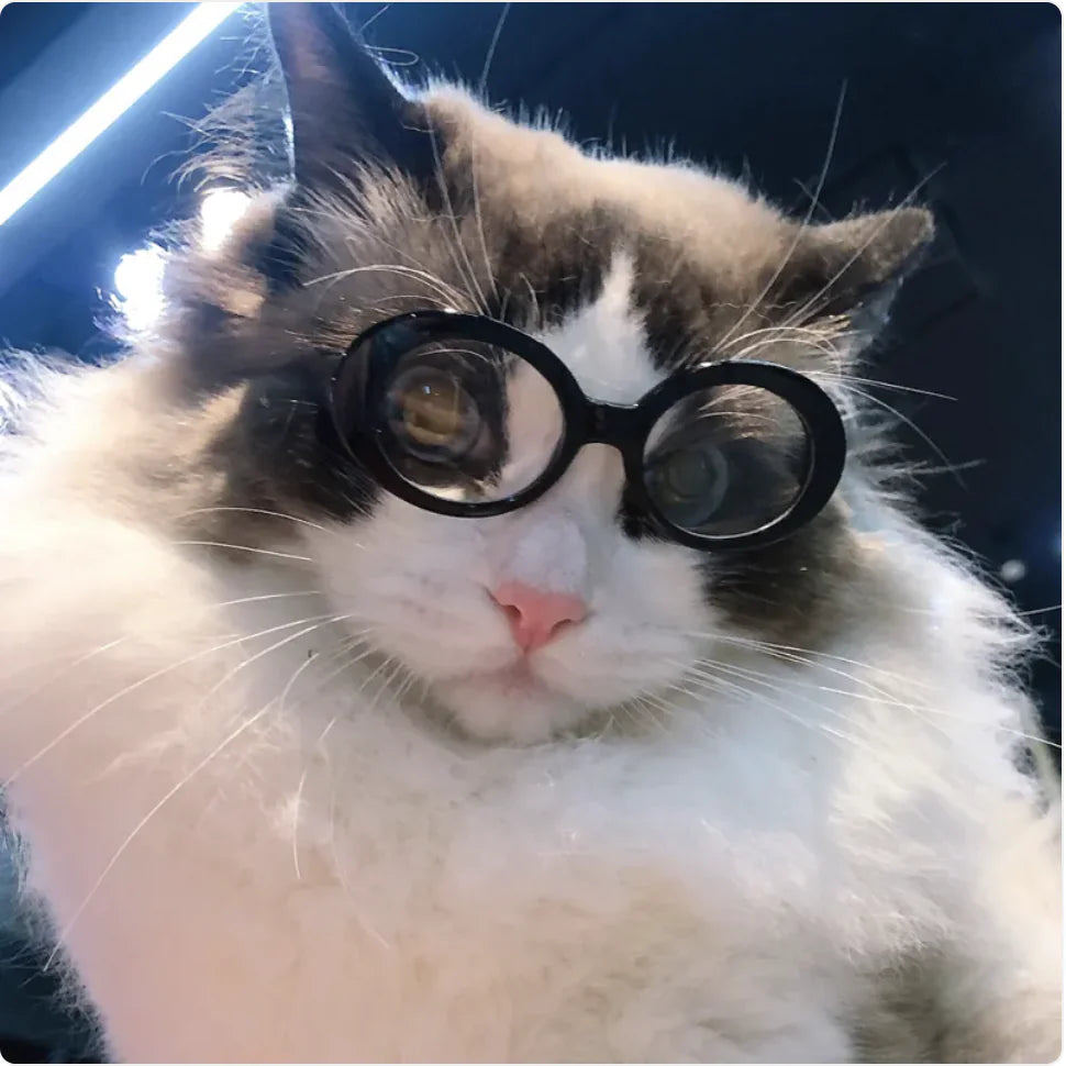 Pet Fashion Sunglasses