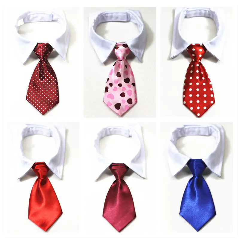 Chic Pet Collar & Tie Collection